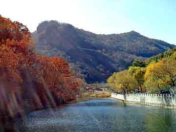 日韩电影在线交换女友，陈发树简历